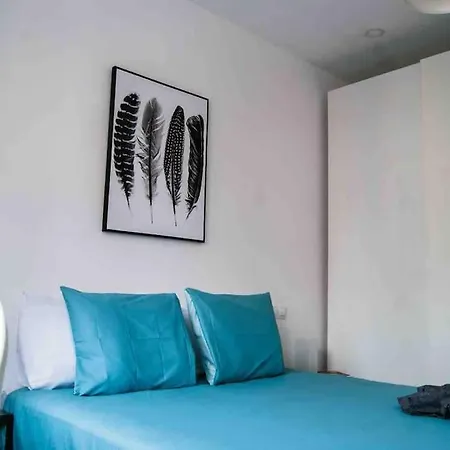 Cactus Apartment